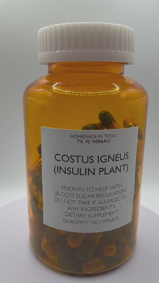 Costus Igneous "Insulin Plant" Diabetic Support Capsules